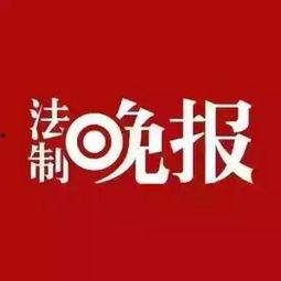 热烈爆料小视频,热烈爆料背后的真相 第2张 热烈爆料小视频,热烈爆料背后的真相 第2张