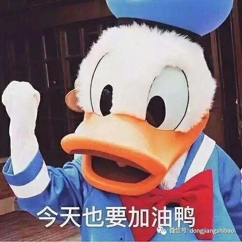 爆料鸭子吃药视频播放,网络热传鸭子吃药视频背后的真相  第3张