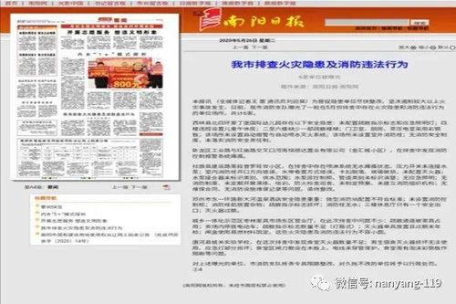 新闻爆料南阳新闻最新消息,突发事件引发关注，最新进展揭晓