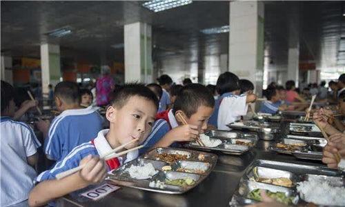 家长爆料食堂视频播放大全,食堂视频大全揭露校园饮食真相  第2张