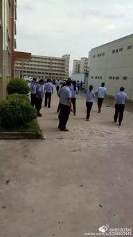 鹰潭虎岭村长爆料视频,揭秘乡村发展背后故事  第1张