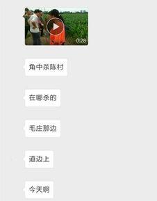 藁城网友爆料最新新闻,最新突发事件引发关注  第2张