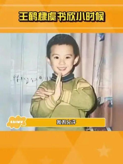 娱乐爆料虞书欣王鹤棣,甜蜜互动引粉丝热议  第1张